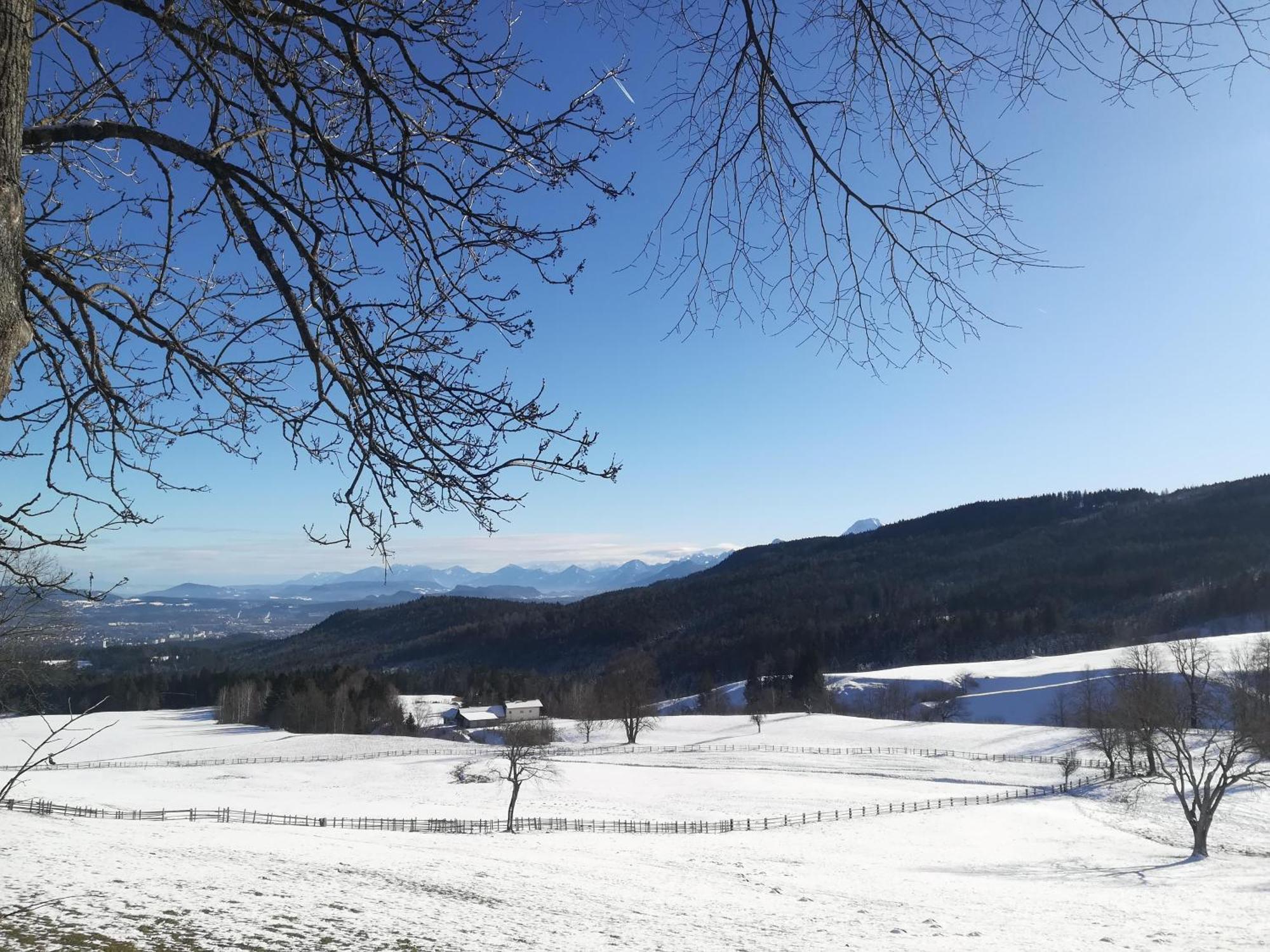 Casableiberg - Garten Apartment - Naturpark Dobratsch Bad Bleiberg Exterior foto